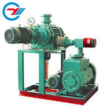 上海巖湖真空泵制造廠 專業(yè)生產(chǎn)與銷售真空泵及真空設(shè)備解決方案